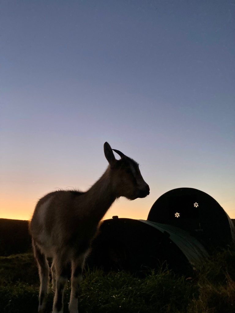 This image has an empty alt attribute; its file name is 1000043037-768x1024.jpg